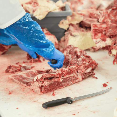 Best Disposable Gloves For Food Handling: Safety And Compliance Tips - Eco Gloves