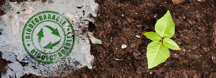 Differences Between Compostable Gloves and Biodegradable Gloves