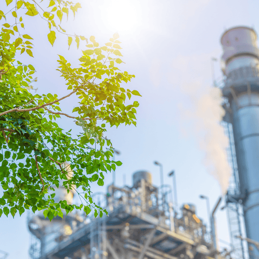 Ethical Manufacturing and Sustainability in the Glove Industry: Why It Matters and How to Identify It - Eco Gloves