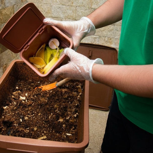 How Small Choices Matter: Simple Ways to Reduce Waste Every Day - Eco Gloves