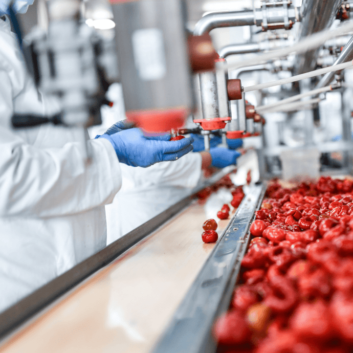 Sustainable Solutions for Disposable Glove Use in Manufacturing and Packaging Industries