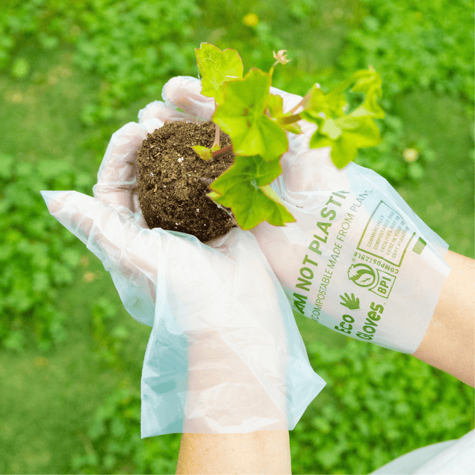 The Eco Gloves Advantage: Premium Quality, Sustainability, and Value