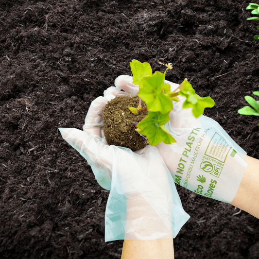 Understanding ASTM D6400: What It Means for Compostable Gloves - Eco Gloves