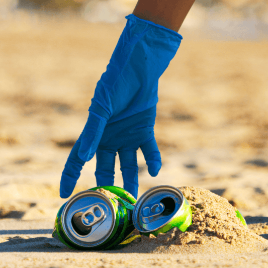 Why Beach Cleanups are Important and How You Can Help - Eco Gloves