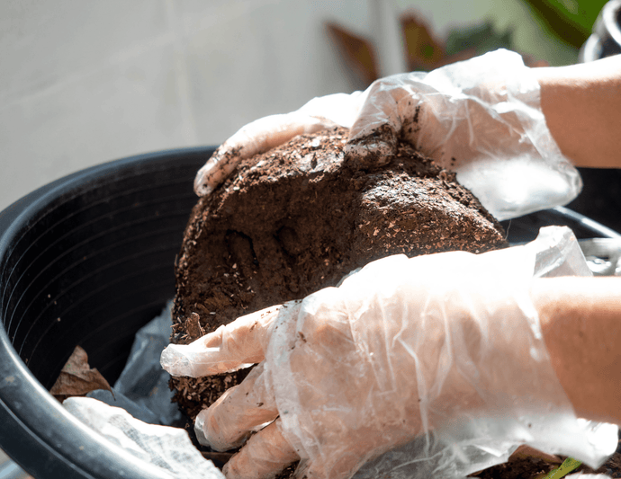 Why Disposable Gloves Need To Be Eco-friendly