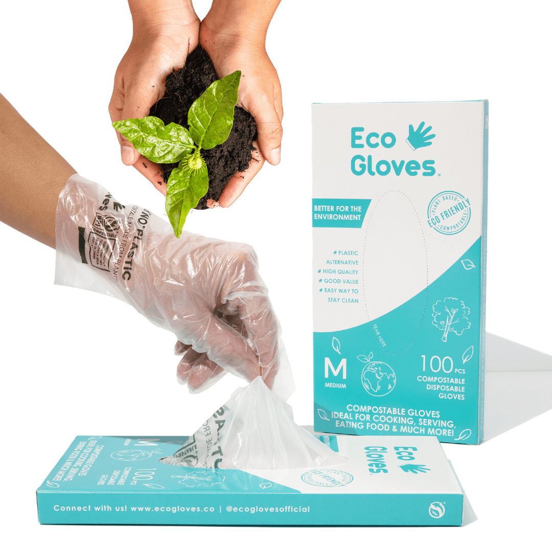Compostable Disposable Gloves - Clear (100 gloves/box) - Eco Gloves