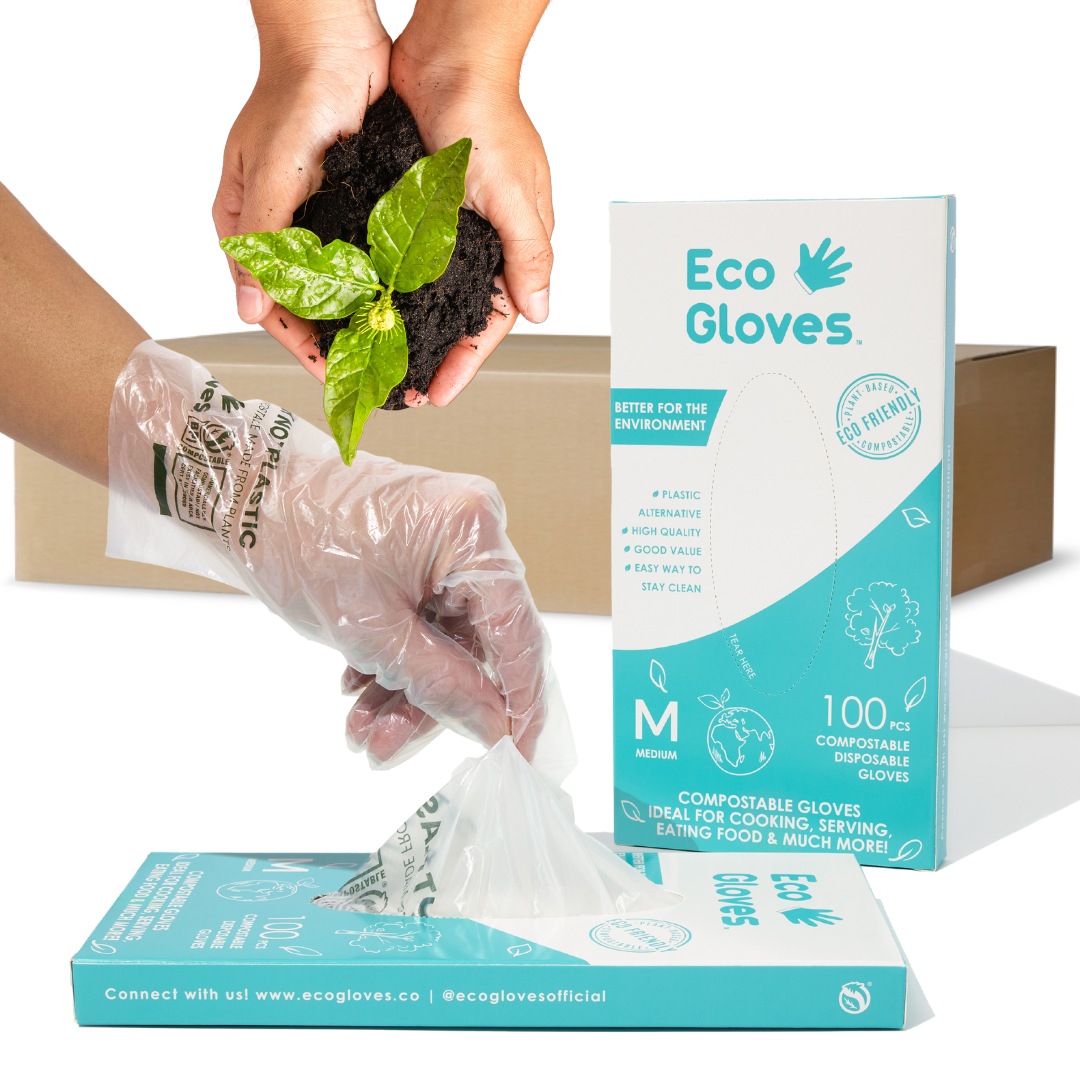 Compostable Disposable Gloves - Clear (Case of 24 Boxes) | Eco Gloves - Eco Gloves