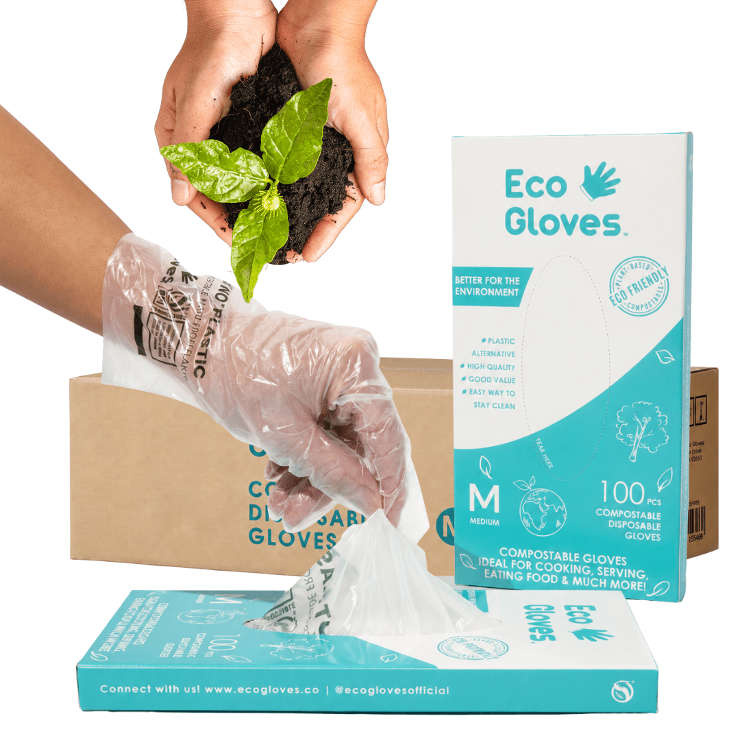 Compostable Disposable Gloves - Clear (Case of 24 Boxes) | Eco Gloves - Eco Gloves