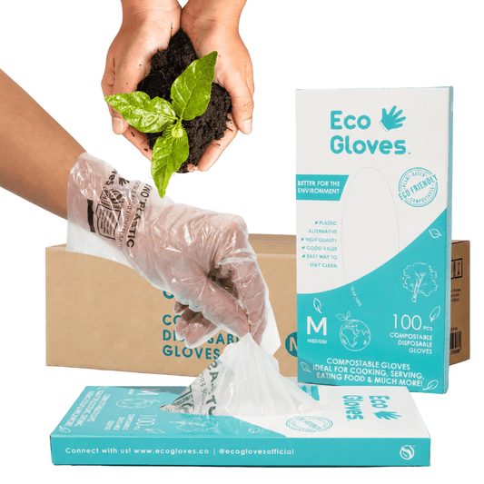 Compostable Disposable Gloves - Clear (Case of 24 Boxes) | Eco Gloves - Eco Gloves