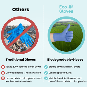 Biodegradable Gloves Versus Regular Gloves